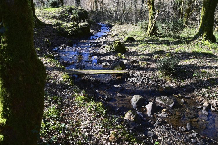 Voie Verte, VTT, Périgord vert, Saint Pardoux-la-Rivière, Thiviers, Ponts, Viaducs, Ruisseaux, la Côle, la Dronne, ouvrages d'art, voie ferrée désaffectée, promeneurs, étangs