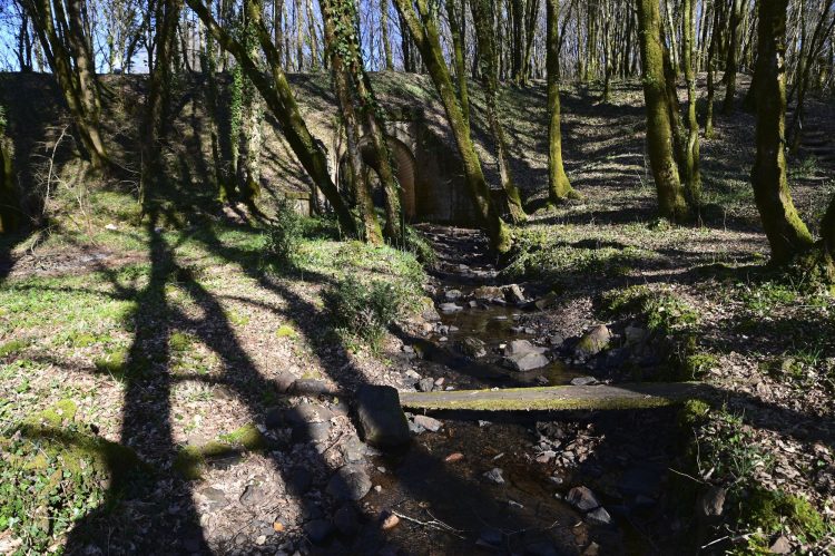 Voie Verte, VTT, Périgord vert, Saint Pardoux-la-Rivière, Thiviers, Ponts, Viaducs, Ruisseaux, la Côle, la Dronne, ouvrages d'art, voie ferrée désaffectée, promeneurs, étangs