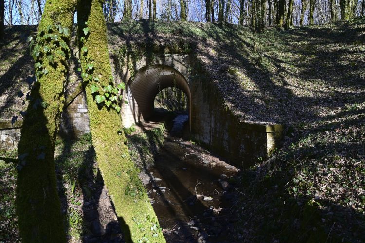 Voie Verte, VTT, Périgord vert, Saint Pardoux-la-Rivière, Thiviers, Ponts, Viaducs, Ruisseaux, la Côle, la Dronne, ouvrages d'art, voie ferrée désaffectée, promeneurs, étangs