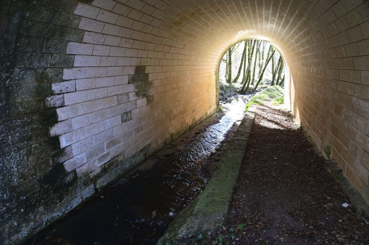 Voie Verte, VTT, Périgord vert, Saint Pardoux-la-Rivière, Thiviers, Ponts, Viaducs, Ruisseaux, la Côle, la Dronne, ouvrages d'art, voie ferrée désaffectée, promeneurs, étangs