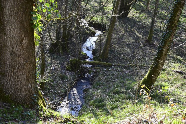 Voie Verte, VTT, Périgord vert, Saint Pardoux-la-Rivière, Thiviers, Ponts, Viaducs, Ruisseaux, la Côle, la Dronne, ouvrages d'art, voie ferrée désaffectée, promeneurs, étangs