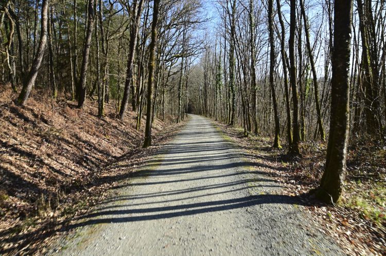 Voie Verte, VTT, Périgord vert, Saint Pardoux-la-Rivière, Thiviers, Ponts, Viaducs, Ruisseaux, la Côle, la Dronne, ouvrages d'art, voie ferrée désaffectée, promeneurs, étangs