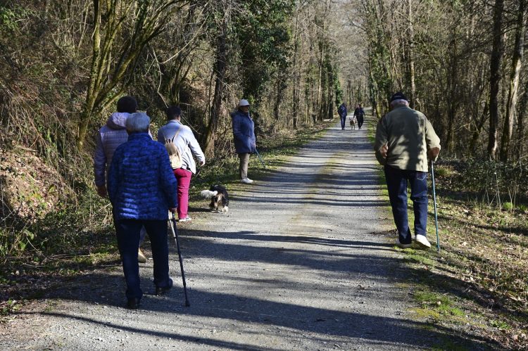 Voie Verte, VTT, Périgord vert, Saint Pardoux-la-Rivière, Thiviers, Ponts, Viaducs, Ruisseaux, la Côle, la Dronne, ouvrages d'art, voie ferrée désaffectée, promeneurs, étangs