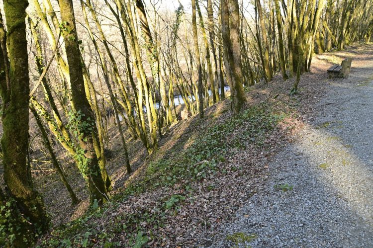 Voie Verte, VTT, Périgord vert, Saint Pardoux-la-Rivière, Thiviers, Ponts, Viaducs, Ruisseaux, la Côle, la Dronne, ouvrages d'art, voie ferrée désaffectée, promeneurs, étangs