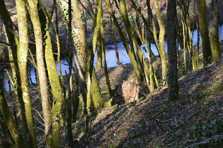 Voie Verte, VTT, Périgord vert, Saint Pardoux-la-Rivière, Thiviers, Ponts, Viaducs, Ruisseaux, la Côle, la Dronne, ouvrages d'art, voie ferrée désaffectée, promeneurs, étangs