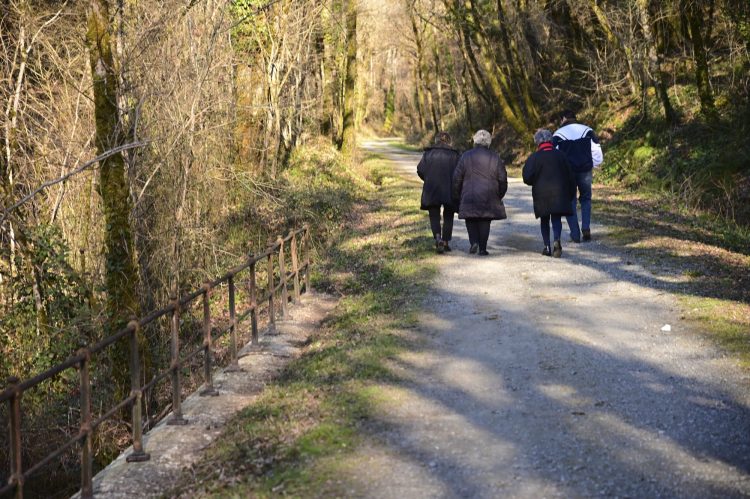 Voie Verte, VTT, Périgord vert, Saint Pardoux-la-Rivière, Thiviers, Ponts, Viaducs, Ruisseaux, la Côle, la Dronne, ouvrages d'art, voie ferrée désaffectée, promeneurs, étangs