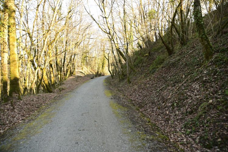 Voie Verte, VTT, Périgord vert, Saint Pardoux-la-Rivière, Thiviers, Ponts, Viaducs, Ruisseaux, la Côle, la Dronne, ouvrages d'art, voie ferrée désaffectée, promeneurs, étangs