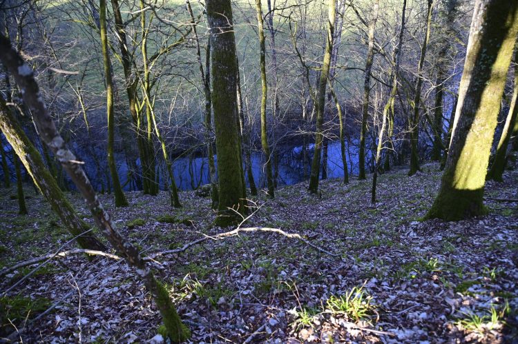 Voie Verte, VTT, Périgord vert, Saint Pardoux-la-Rivière, Thiviers, Ponts, Viaducs, Ruisseaux, la Côle, la Dronne, ouvrages d'art, voie ferrée désaffectée, promeneurs, étangs