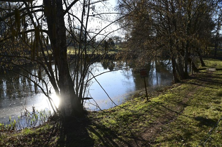 Voie Verte, VTT, Périgord vert, Saint Pardoux-la-Rivière, Thiviers, Ponts, Viaducs, Ruisseaux, la Côle, la Dronne, ouvrages d'art, voie ferrée désaffectée, promeneurs, étangs
