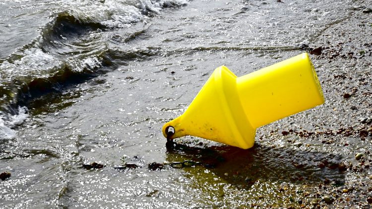 Paysages Île d'Oléron