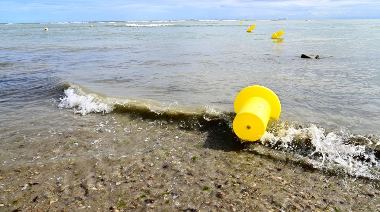 Paysages Île d'Oléron