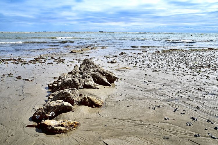 Paysages Île d'Oléron