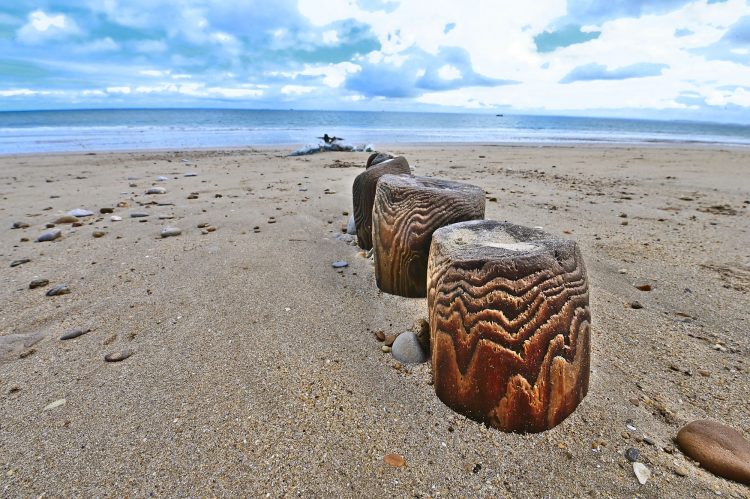 Paysages Île d'Oléron