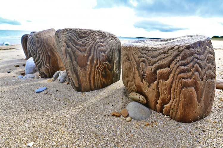 Paysages Île d'Oléron
