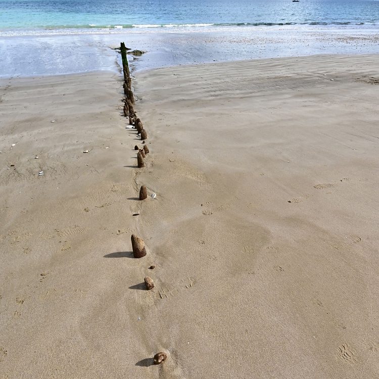 Paysages Île d'Oléron