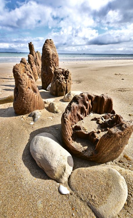 Paysages Île d'Oléron