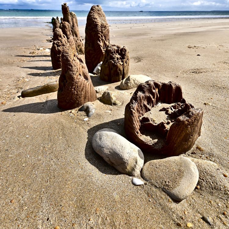 Paysages Île d'Oléron