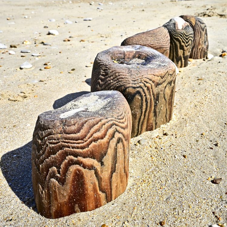 Paysages Île d'Oléron