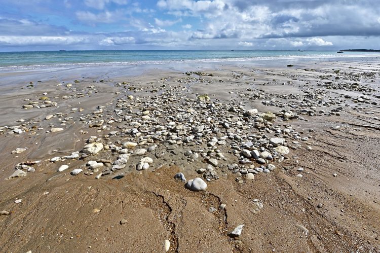 Paysages Île d'Oléron