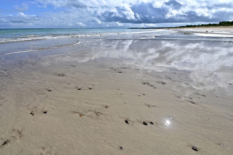Paysages Île d'Oléron