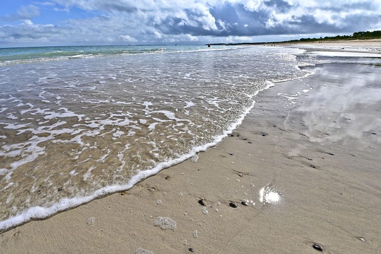 Paysages Île d'Oléron