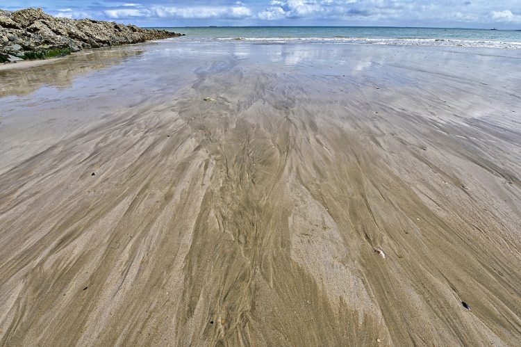 Paysages Île d'Oléron