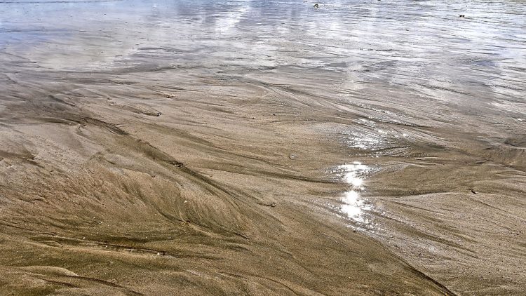 Paysages Île d'Oléron