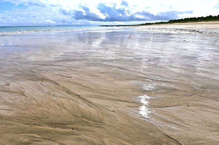 Paysages Île d'Oléron
