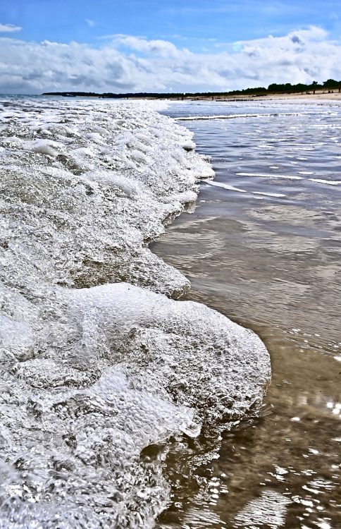 Paysages Île d'Oléron