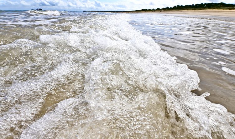 Paysages Île d'Oléron