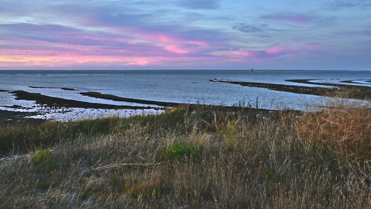 Paysages Île d'Oléron