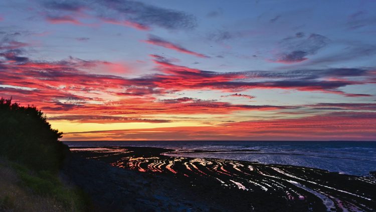 Paysages Île d'Oléron