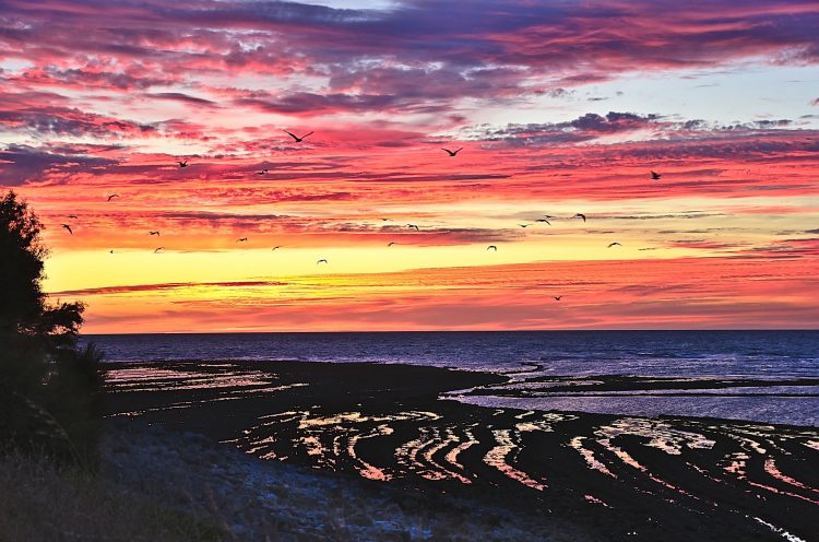 Paysages Île d'Oléron