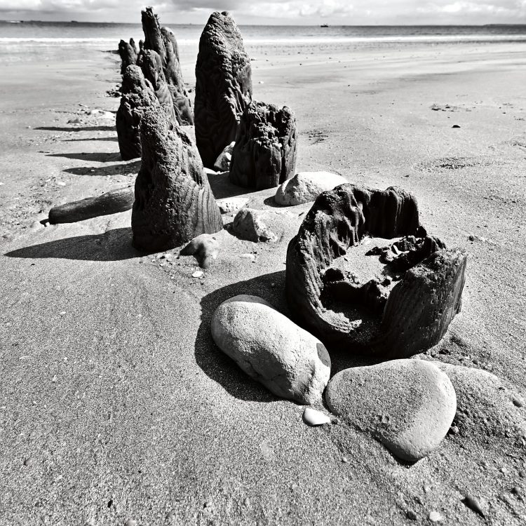 Paysages Île d'Oléron