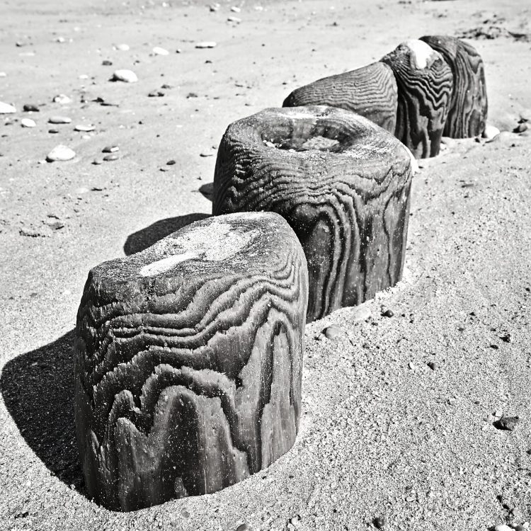 Paysages Île d'Oléron