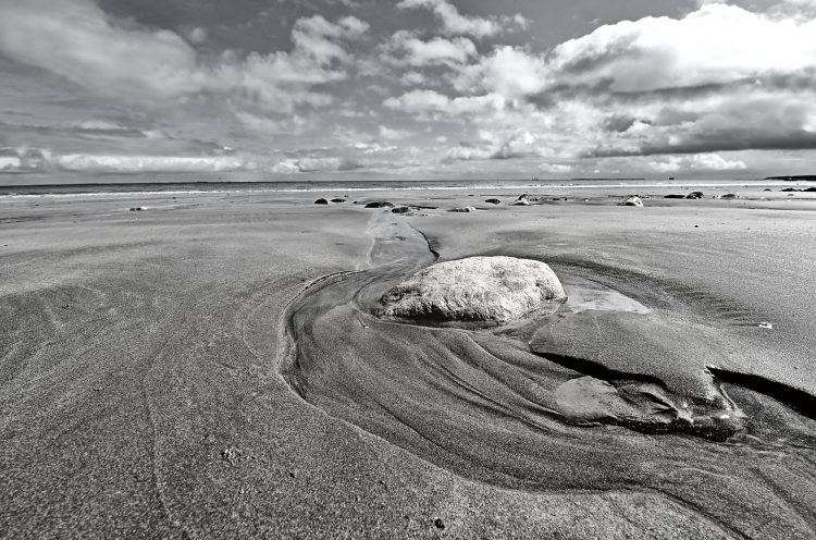 Paysages Île d'Oléron