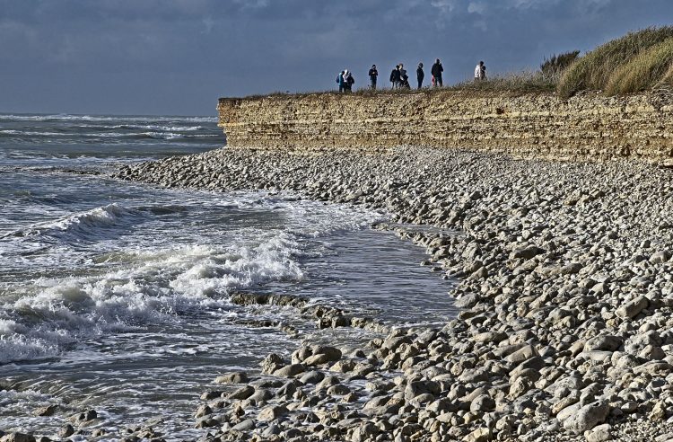 Île dOléron, Tempête, Vagues, Lumières, Ecume, Goéland