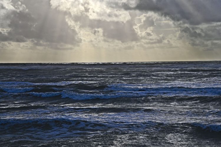 Île dOléron, Tempête, Vagues, Lumières, Ecume, Goéland
