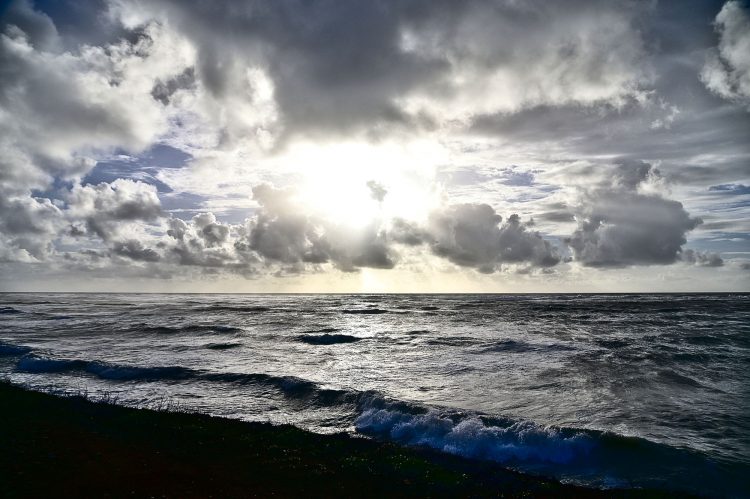Île dOléron, Tempête, Vagues, Lumières, Ecume, Goéland