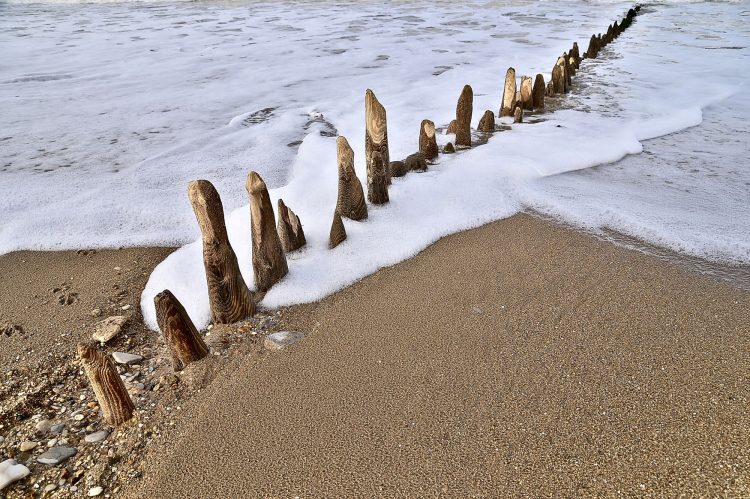Île dOléron, Tempête, Vagues, Lumières, Ecume, Goéland