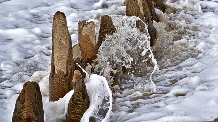Île dOléron, Tempête, Vagues, Lumières, Ecume, Goéland