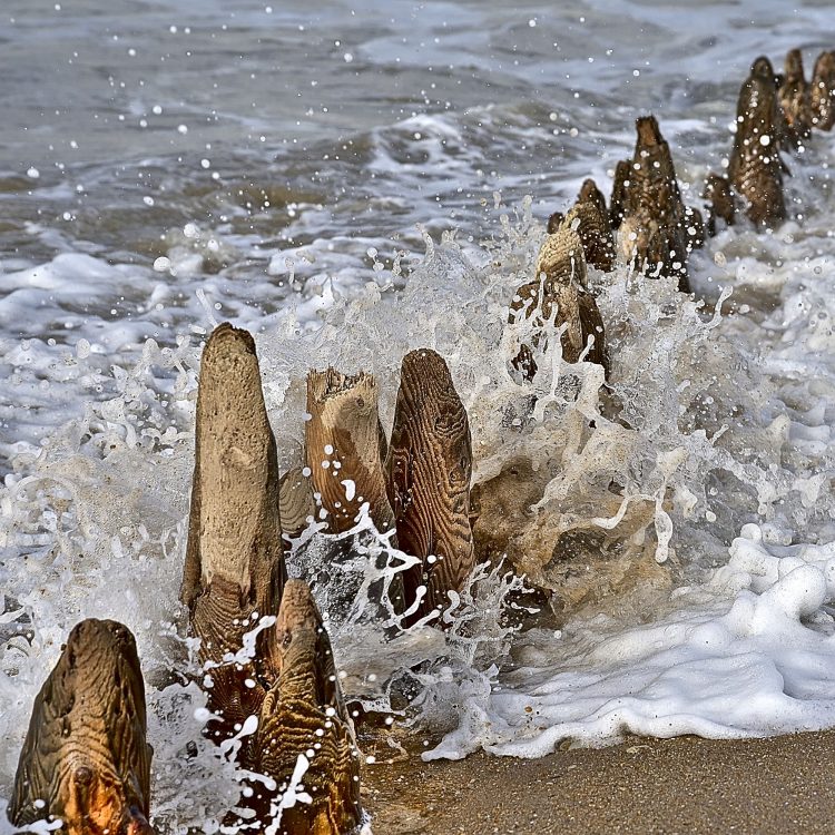 Île dOléron, Tempête, Vagues, Lumières, Ecume, Goéland