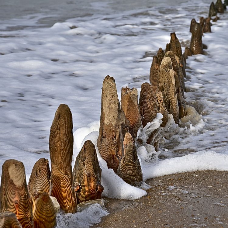 Île dOléron, Tempête, Vagues, Lumières, Ecume, Goéland