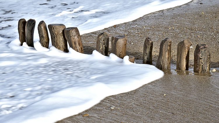 Île dOléron, Tempête, Vagues, Lumières, Ecume, Goéland