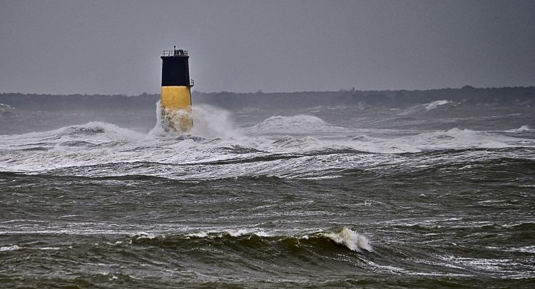 Île dOléron, Tempête, Vagues, Lumières, Ecume, Goéland