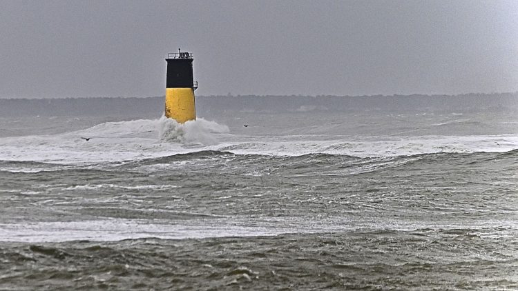 Île dOléron, Tempête, Vagues, Lumières, Ecume, Goéland