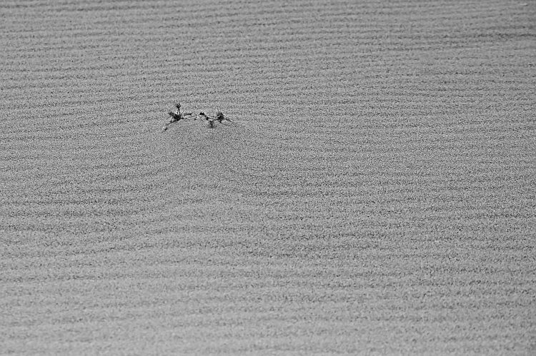 Île dOléron, Tempête, Vagues, Lumières, Ecume, Goéland