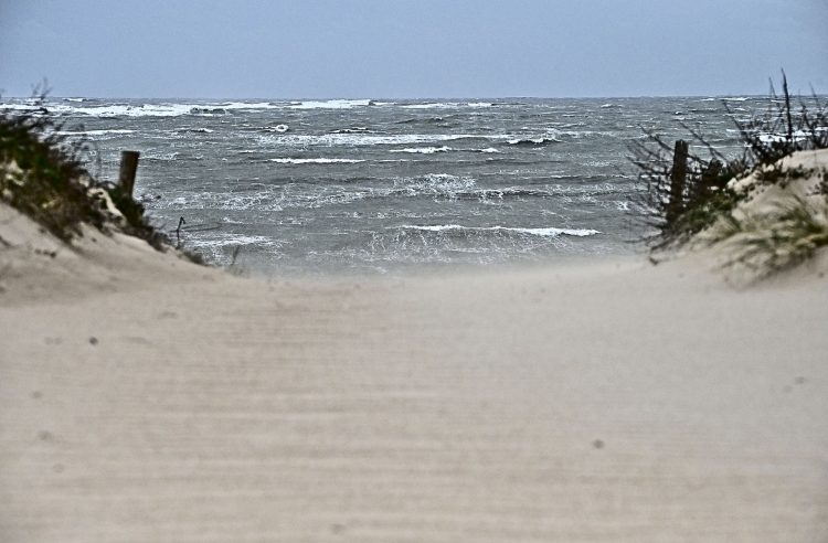 Île dOléron, Tempête, Vagues, Lumières, Ecume, Goéland