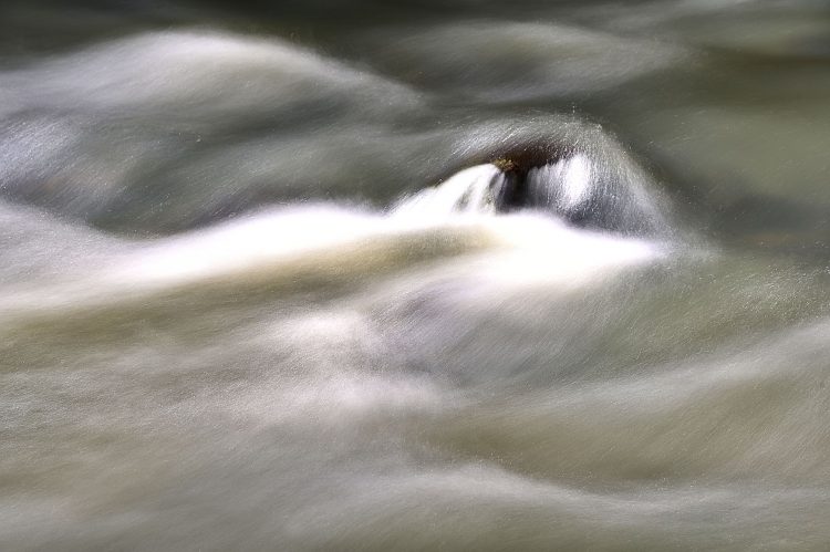 Proche de l'abtionstrac