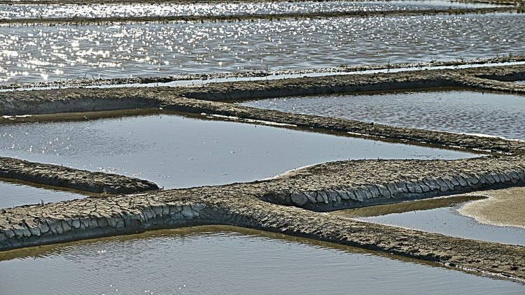 Marais salant - Île d'Oléron - Ultra Grand Angle